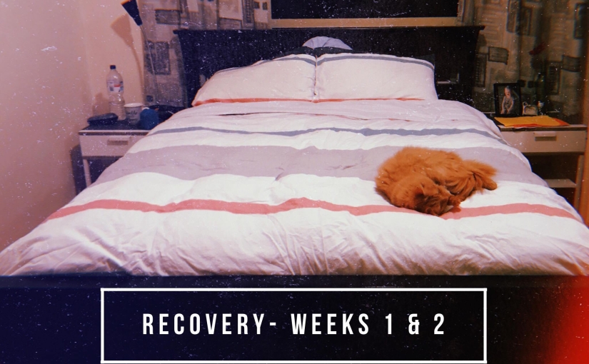 Recovery- Weeks 1 & 2